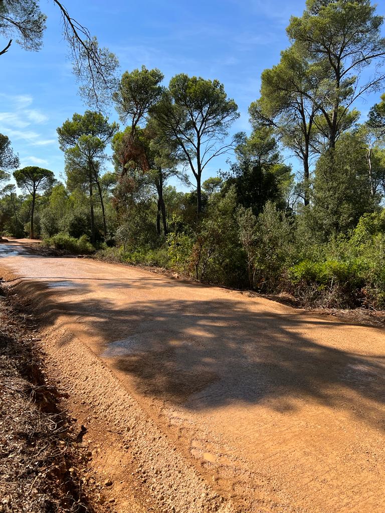 Acondicionament de camins - Muntanya Seca (Palau Sator)