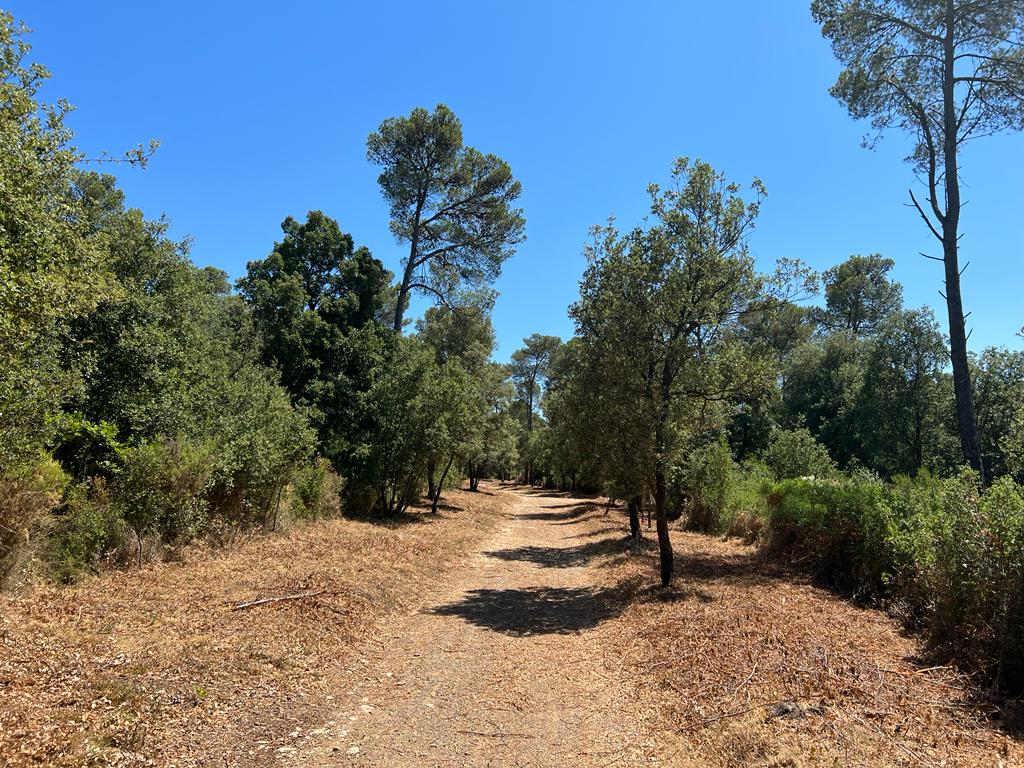Acondicionament de camins - Muntanya Seca (Palau Sator)