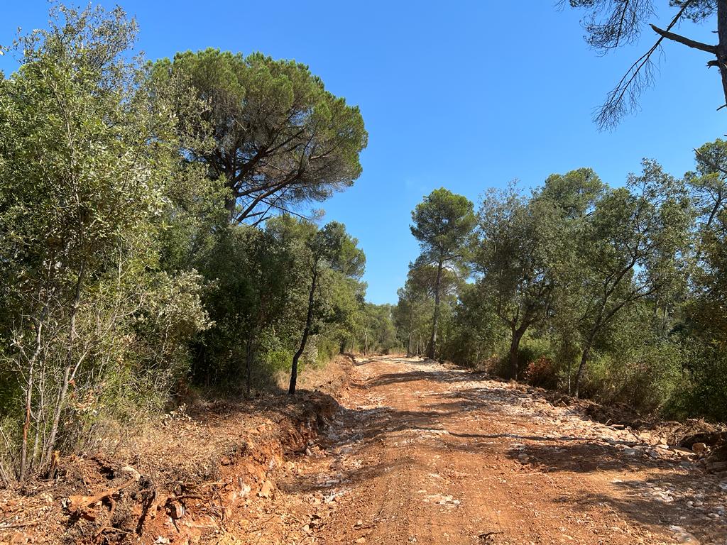 Acondicionament de camins - Muntanya Seca (Palau Sator)
