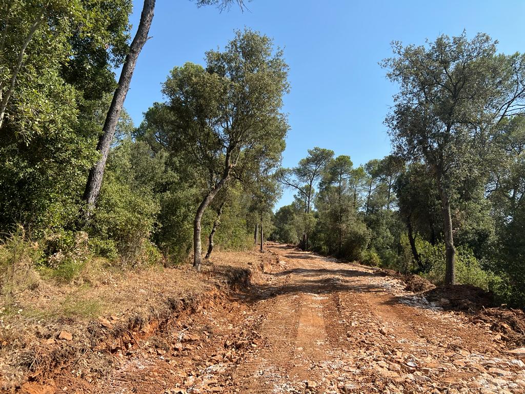 Acondicionament de camins - Muntanya Seca (Palau Sator)