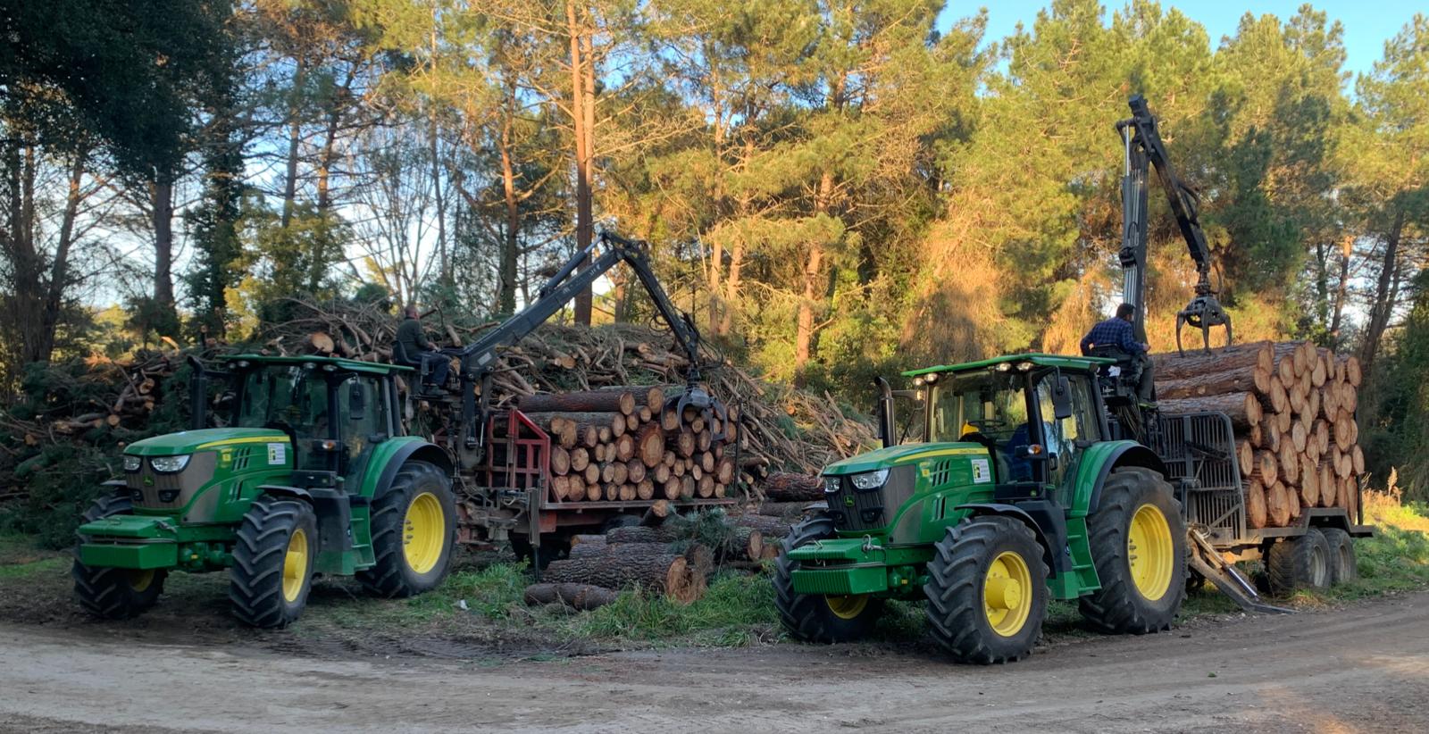 Restes vegetals per a la creació d'estella forestal