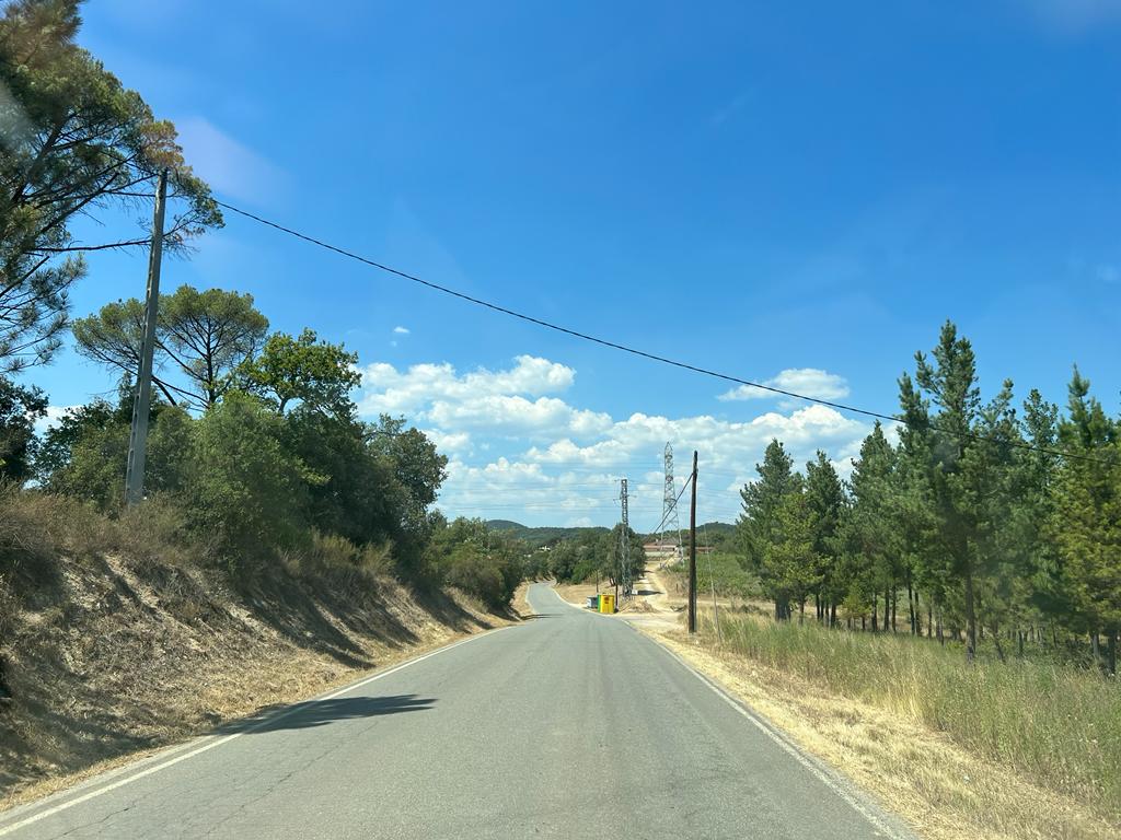 Desbrossament de les vorades a Sant Feliu de Buixalleu