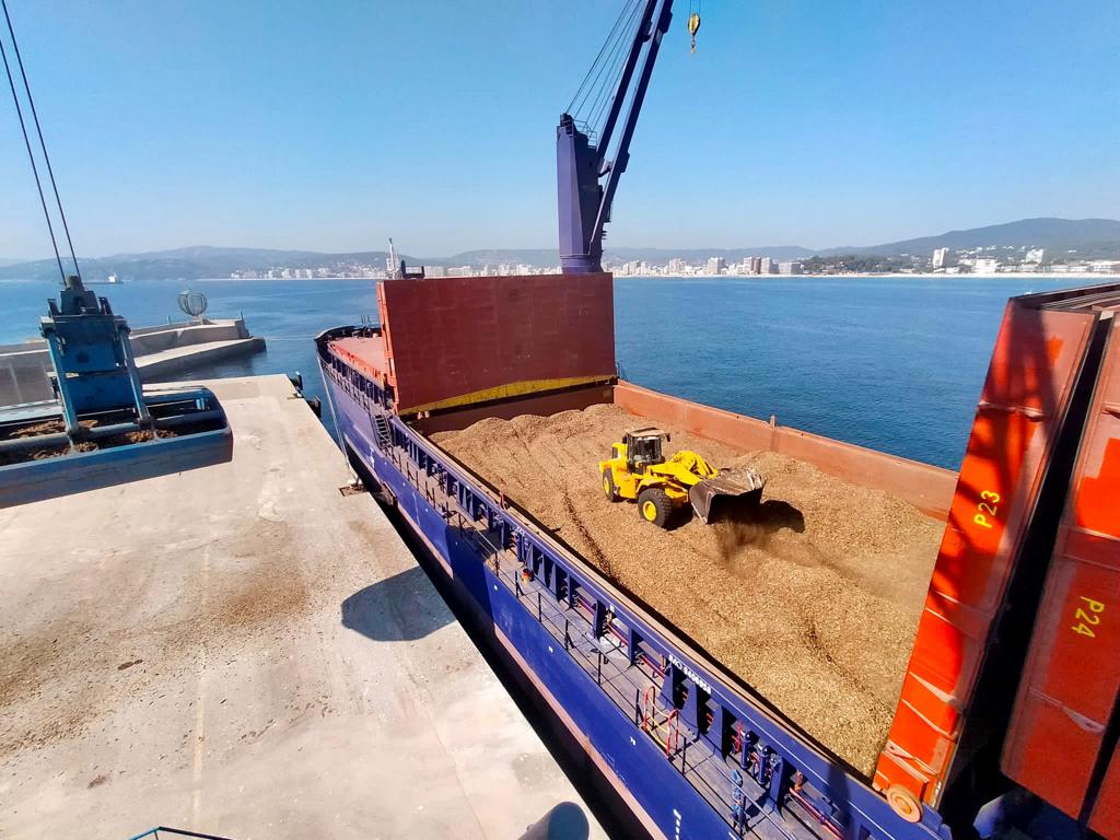 Exportació d'estella forestal