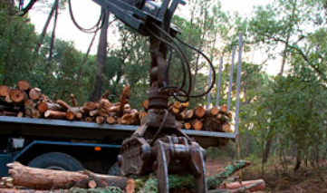 Restes forestals per a la producció d'estella forestal
