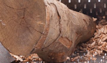 Creació d'estella forestal