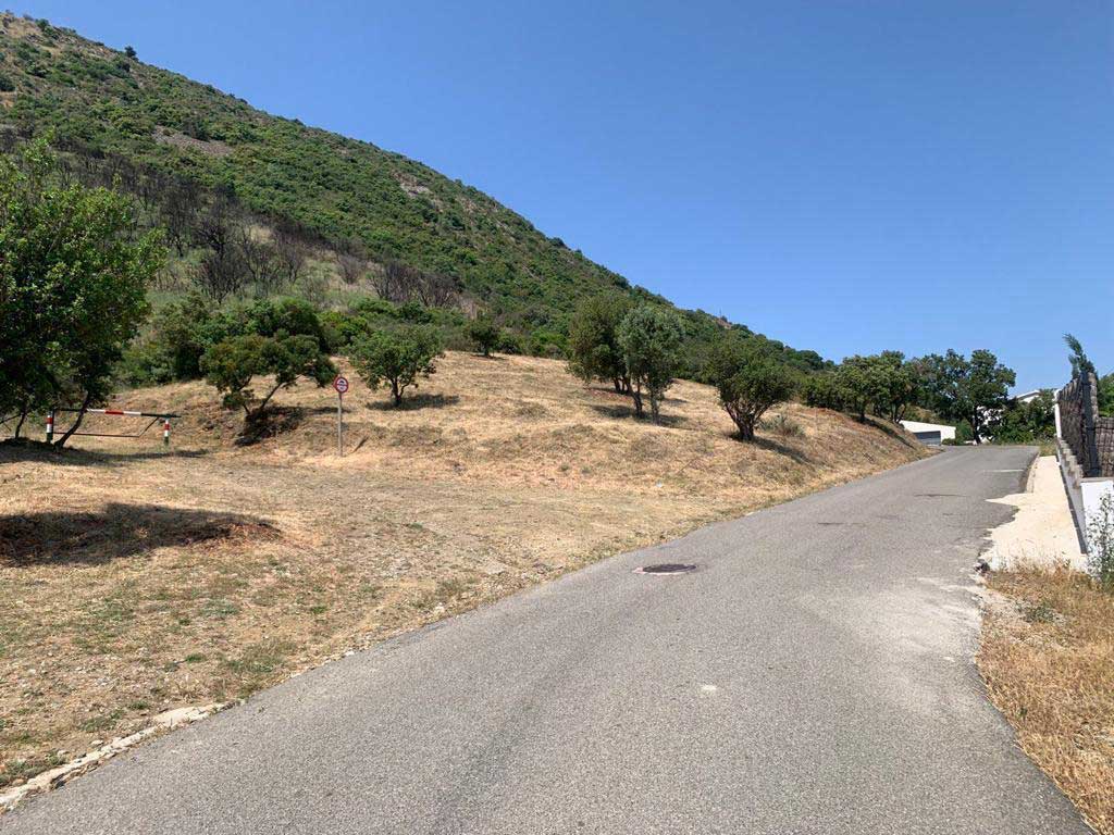 Franges de protecció contra incendis forestals a Llançà