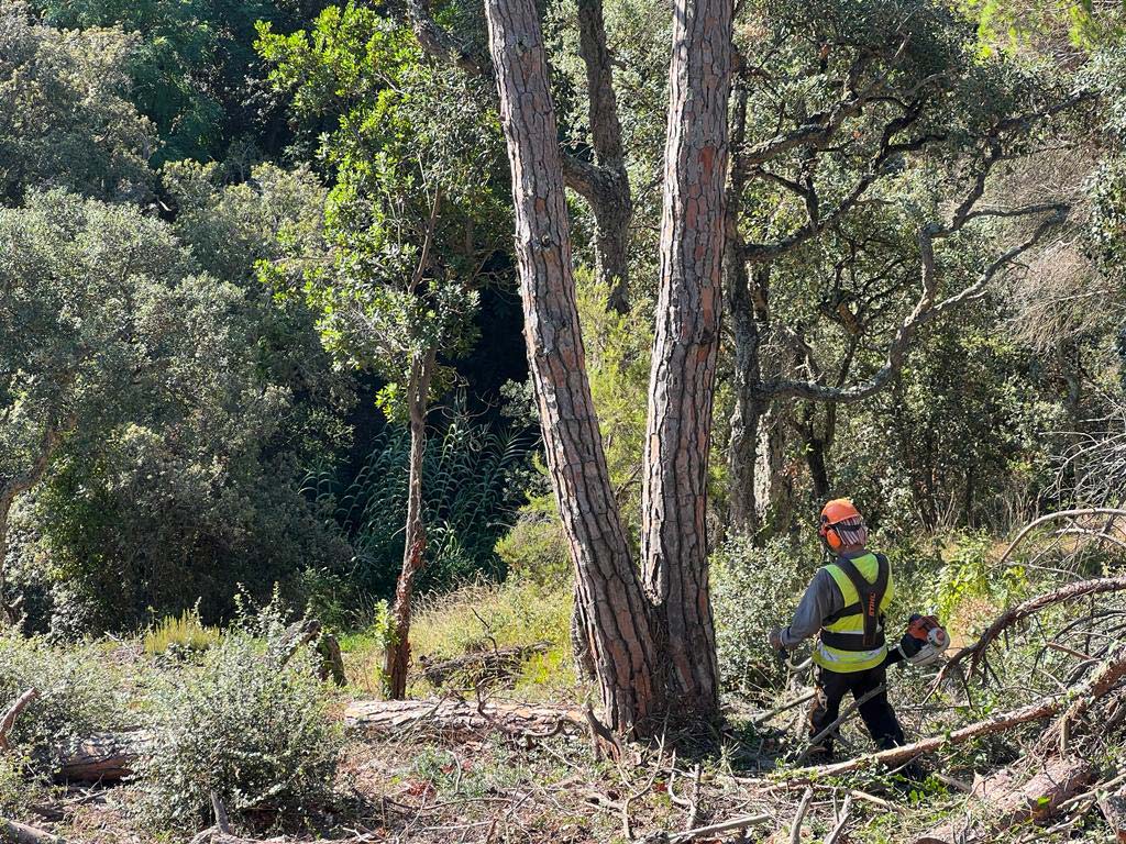 Mantenimiento de las franjas para la protección de incendios forestales